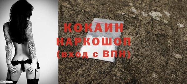 прущие грибы Горно-Алтайск