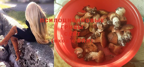прущие грибы Горно-Алтайск
