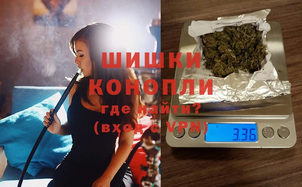 прущие грибы Горно-Алтайск