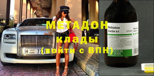 прущие грибы Горно-Алтайск