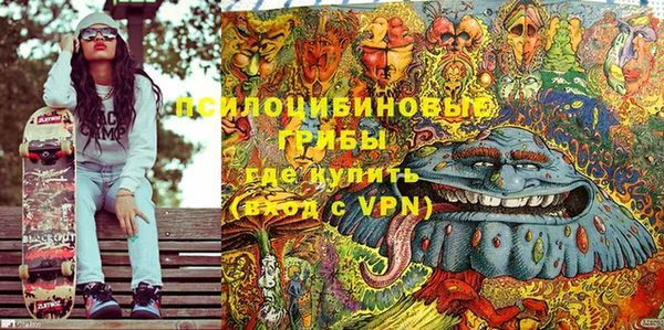 прущие грибы Горно-Алтайск