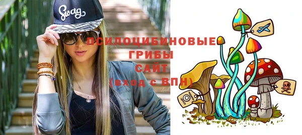 метадон Горняк