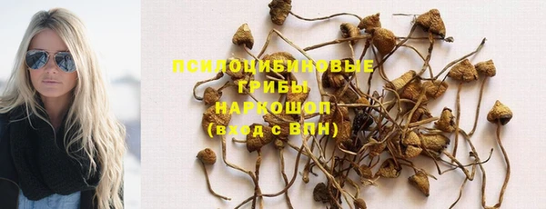 герыч Горнозаводск