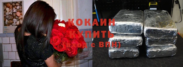прущие грибы Горно-Алтайск