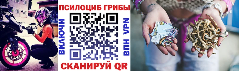 Галлюциногенные грибы Cubensis  сколько стоит  Москва 