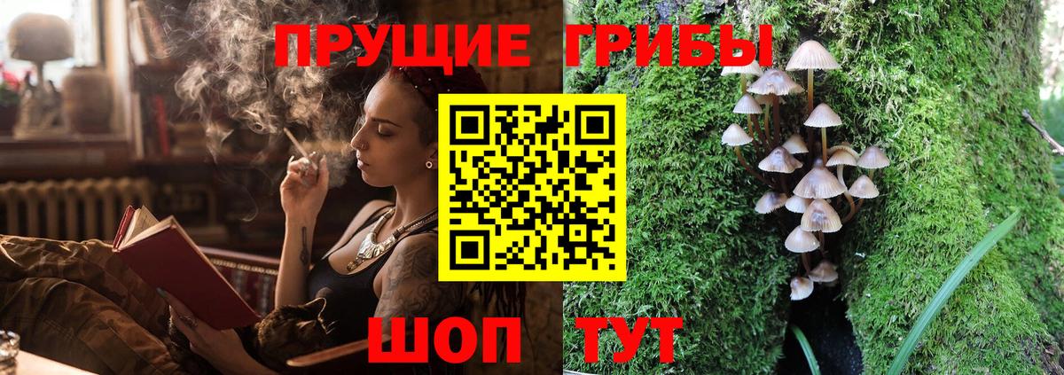 Москва  Галлюциногенные грибы Psilocybine cubensis  Вход с VPN 